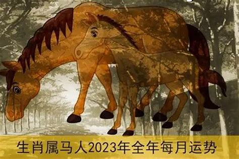 屬馬顏色2023|2023年属马最旺颜色 2023年属马大忌颜色